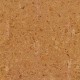 Originals Shell  | Wicanders cork Essence - Cork Floors click