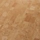 Desire | Wicanders cork Go | Cork Floor click
