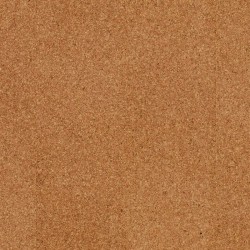 Moment | Wicanders cork Go | Cork Floor click