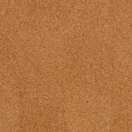 Moment | Wicanders cork Go | Cork Floor click