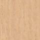 2826 Oak trendy | JOKA Madison 331 Normal Plank Laminat