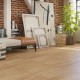 Oak Amalthea - Korner Solid Floor Klick Vinyl