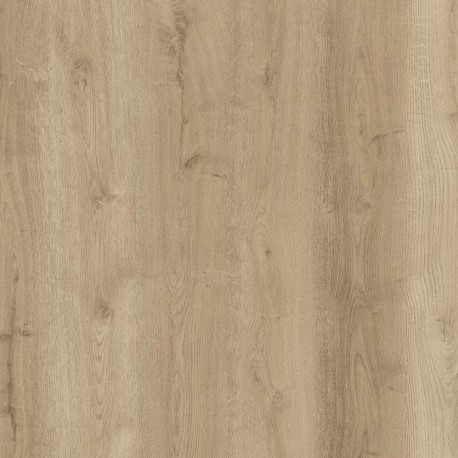 Arabian Desert Oak Wicanders Hydrocork Klick Vinyl mit Kork