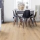 Primary oak beige Tarkett Essence 55 Klebevinyl