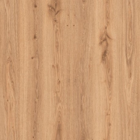 Primary oak light brown Tarkett Essence 55 Klebevinyl
