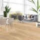 Cool Oak - Classic Tarkett Essence 55  glue down vinyl