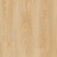 Cool Oak - Classic Tarkett Essence 55  glue down vinyl