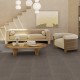 Desso Iconic AA23 2913 Carpet Tiles