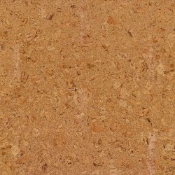 Shell Natural | Wicanders cork Pure | Kork-Klebeparkett