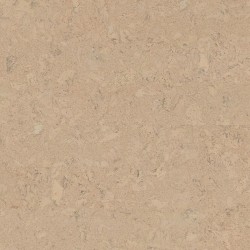Shell Marfim | Wicanders cork Inspire - Korkparkett klick