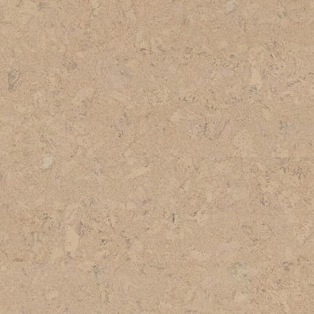 Shell Marfim | Wicanders cork Inspire - Korkparkett klick