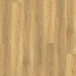 5540 Timeless Oak | JOKA Design floors 555 Glue Down vinyl