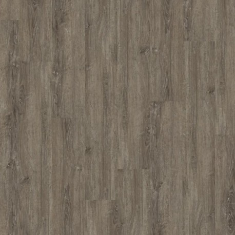 Eclipse Oak 434P | JOKA Design 555 CLICK Vinyl