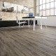 Eclipse Oak 434P | JOKA Design 555 CLICK Vinyl