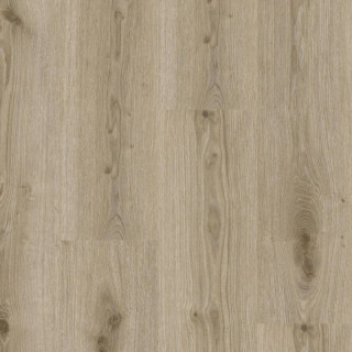 Primary Oak Light Grey - Tarkett Essence 55