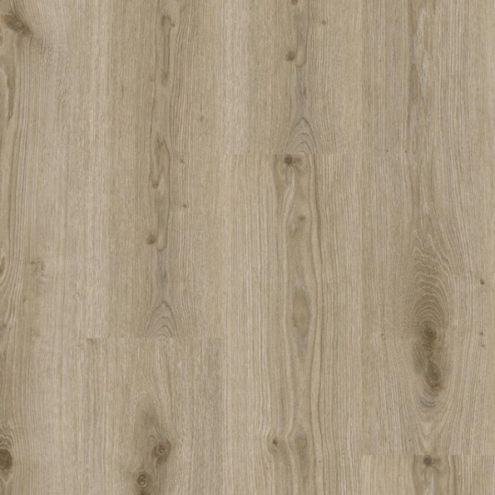 Primary Oak Light Grey - Tarkett Essence 55