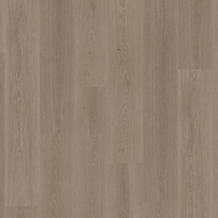 Tribe Oak Grey - Tarkett Essence Rigid 30 Klick