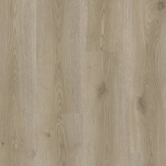 Contemporary Oak Grege - Tarkett ID Classics Click Ultimate 70