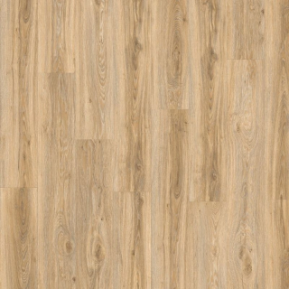 Blackjack Oak 22220 - Moduleo Roots 55 Klebevinyl