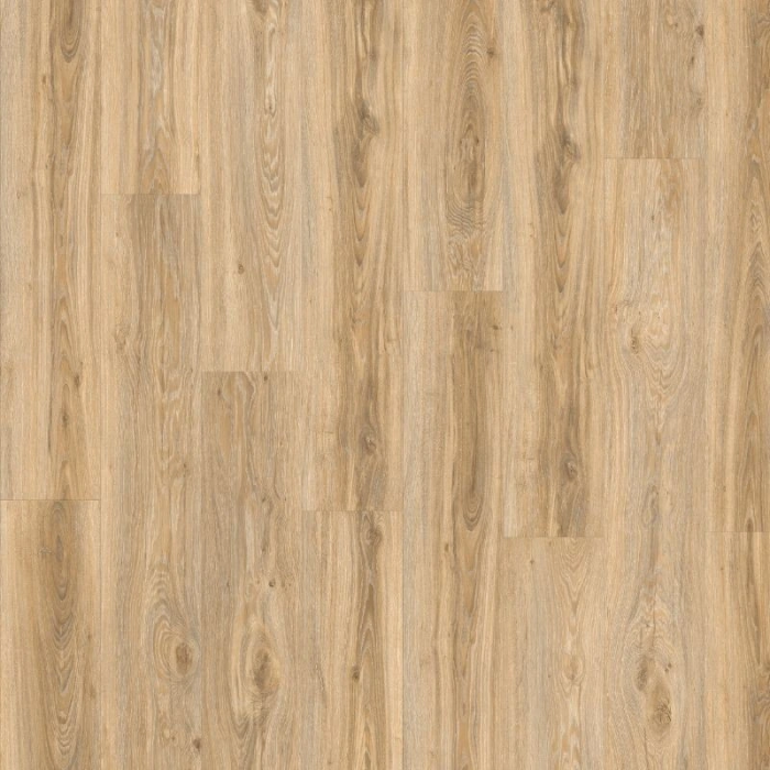 Blackjack Oak 22220 - Moduleo Roots 55 Glue-down Vinyl