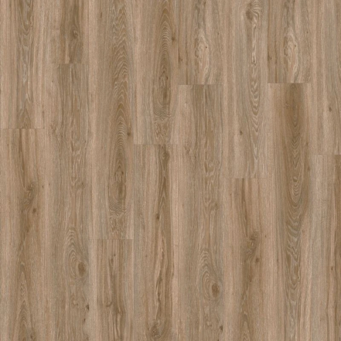 Blackjack Oak 22229 - Moduleo Roots 55 Glue-down Vinyl