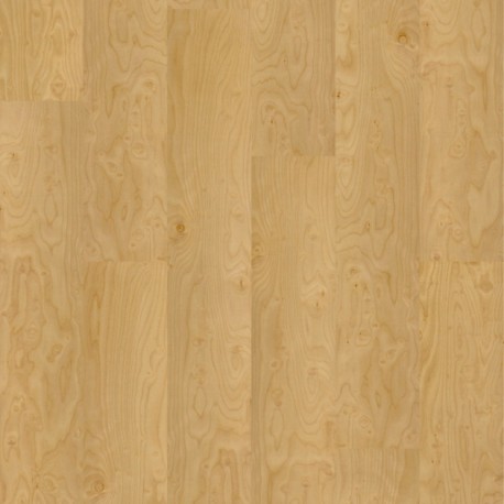 Design Klebekork Apfelbirke