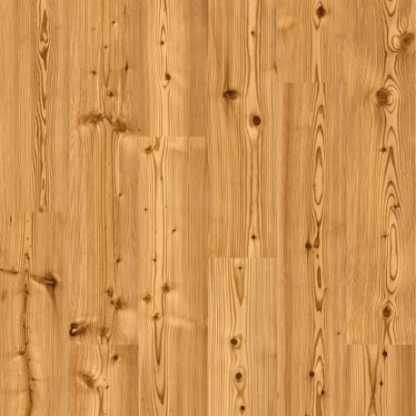 Printed Cork Larch Spice
