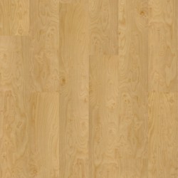 Apple Birch Printed Cork Floors click