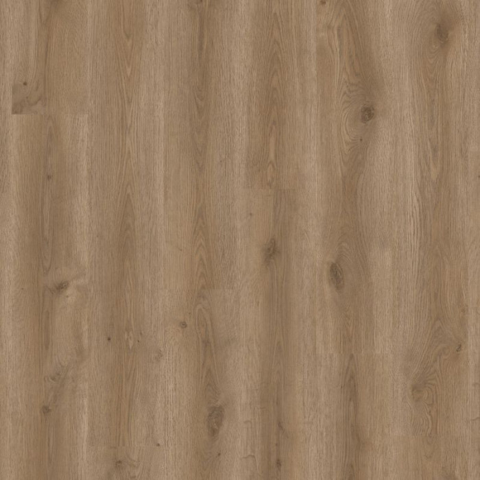 Contemporary Oak Natural- Tarkett ID Classics 30