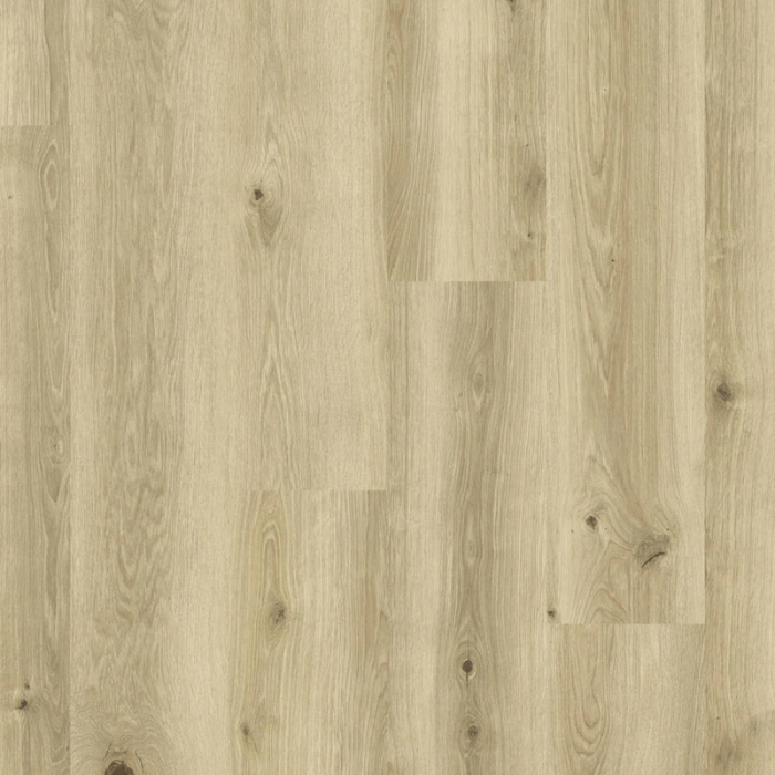 Creek Oak Beige - Tarkett ID Naturals Glue Down 55