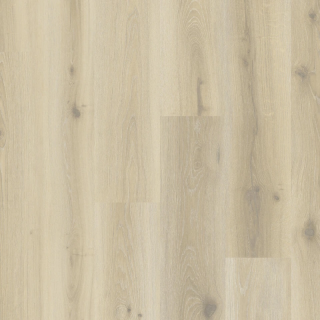 Forest Oak Pistachio Shell - Tarkett ID Naturals Glue Down 55