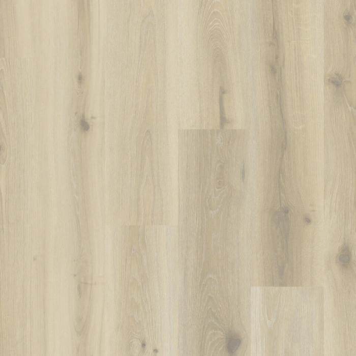 Forest Oak Pistachio Shell - Tarkett ID Naturals Glue Down 55