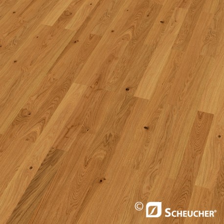 Eiche Astig Scheucher BILAflor 1000