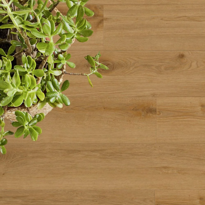 Delicate Oak Toffee - Tarkett ID Classics Click Ultimate 70