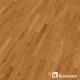 Eiche Astig  Scheucher BILAflor 500