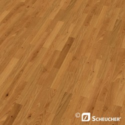 Oak Knotty Scheucher BILAflor 500 Parquet Flooring