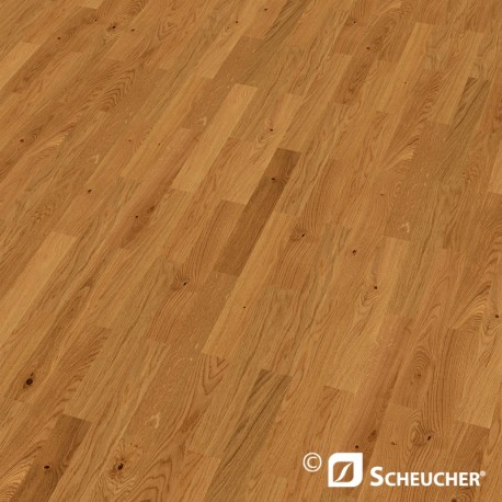Eiche Astig  Scheucher BILAflor 500