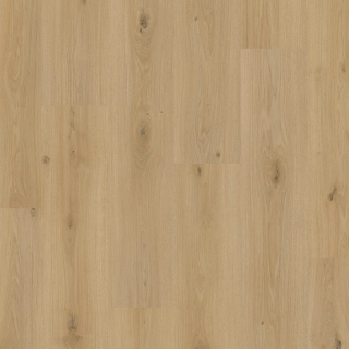Vineyard Oak - Pergo Perstorp Laminate