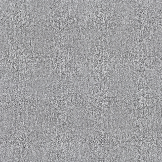 Desso Fields B751 1101