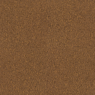 Desso Fields B751 2056