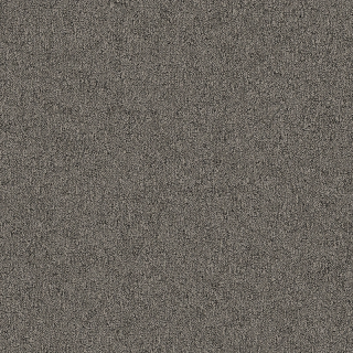 Desso Fields B751 2912