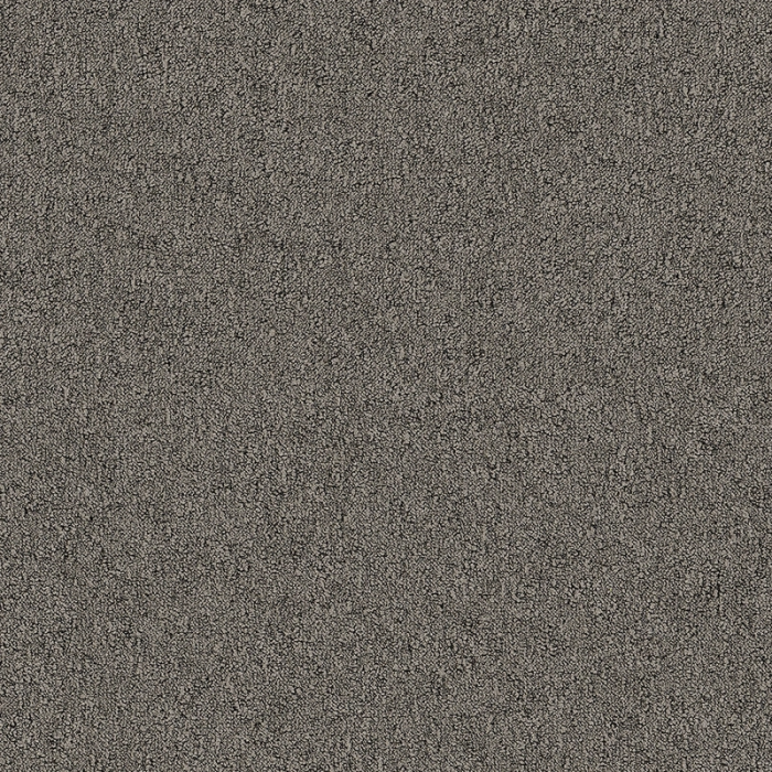Desso Fields B751 2912