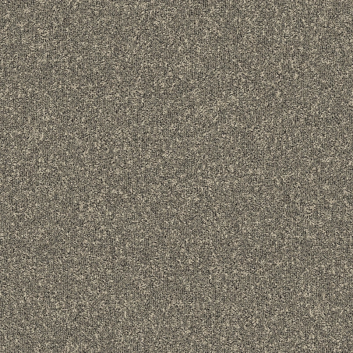 Desso Fields B751 2915