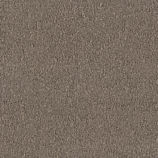 Desso Fields B751 2934