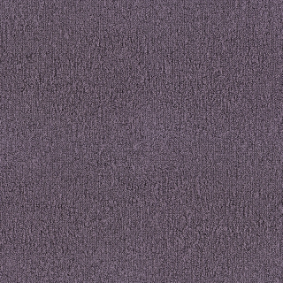 Desso Fields B751 3913