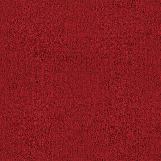 Desso Fields B751 4301