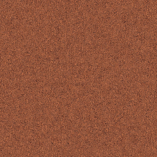 Desso Fields B751 5012