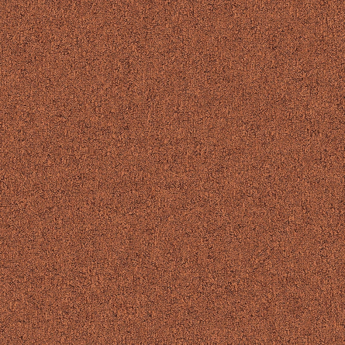 Desso Fields B751 5012