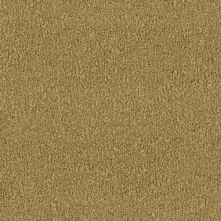 Desso Fields B751 6011