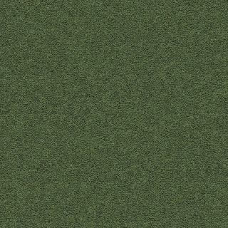 Desso Fields B751 7231